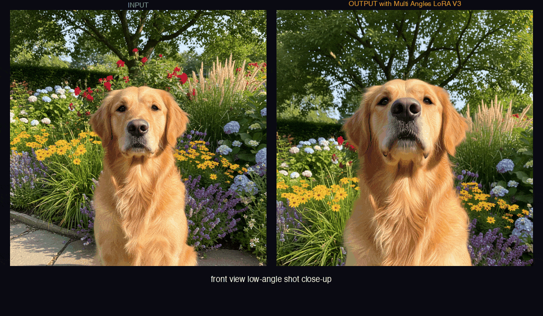 all_animations_combined-qwen-image-edit.gif